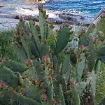 Irene Veli Lošinj